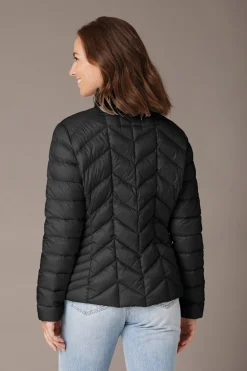 Daisy Black 0123204062