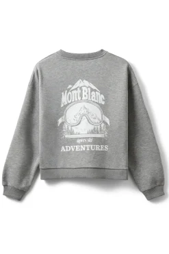 ELINSW SWEATSHIRT 8010 Grey melange S254440
