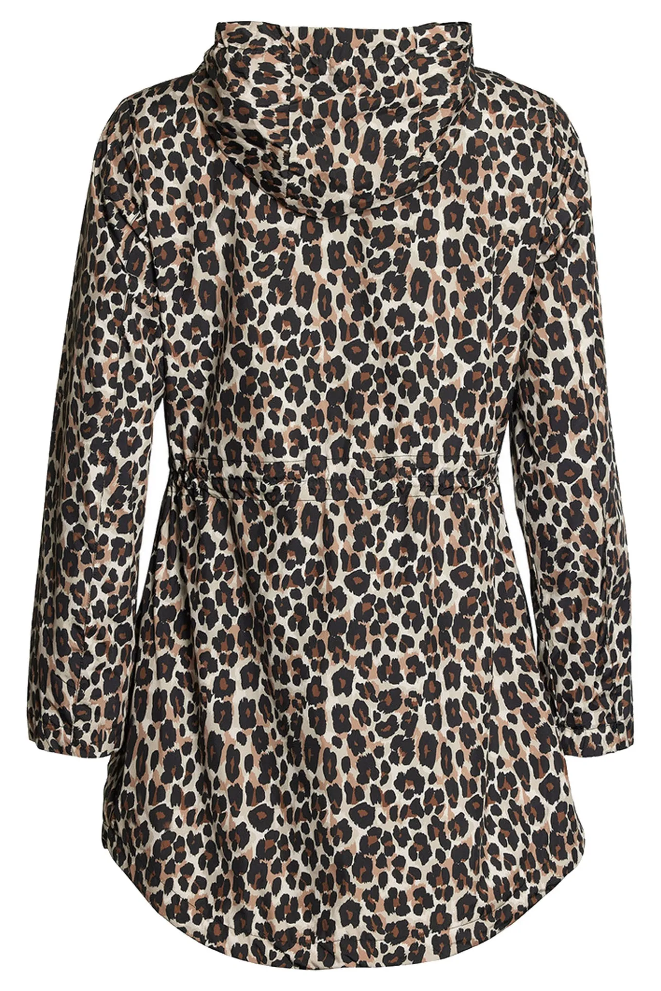 Ingeborg 98 Leopard 251739