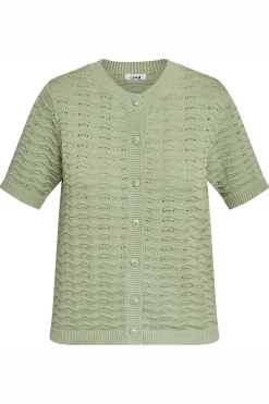 LiBrenda 3400 Spring Green L5307.2017